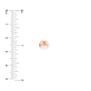 7.0mm Flat Round Pebble Stud Earrings