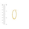 Oval Hoop Earrings