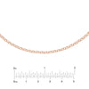 Rolo Choker Chain