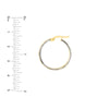 Two Tone D/C Double Side Hoop Earrings
