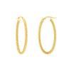 Oval Rope Twist Hoop Earrings