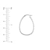 Twist Oval Hoop Earrings