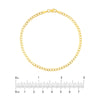 2.7mm Light Open Curb Chain with Lobster Lock
