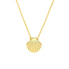 So You Seashell Necklace