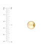 12mm Ball Stud Earrings