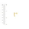 Curved Bar Stud Earrings