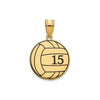 Personalized Volleyball with Enameled Pendants