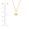 Polished Star Pendant Necklace