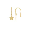 Mini Star Drop Earrings on Fish Hooks