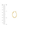 Oval Waved Polished Hoops