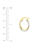 Two-tone Intertwined Oval Hoop Earrings