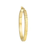 35mm Square Tube D/C Finish Oval Hoop
