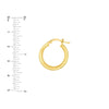 Interior Designed Hoop Earrings
