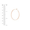 41.50mm x 31.50mm Thin Oval Post Hoop Earrings
