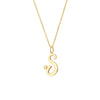 Script 'S' with Diamond Bezel Necklace