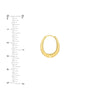 Graduated Shrimp Oval Hoop Earrings