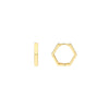 Mini Pentagon Shaped Hoop Earrings