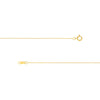 0.55mm Box Chain with Spring Ring and Q-Tag