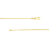 Horse Bit Lariat Necklace