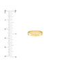 Scattered Diamond Polished Band