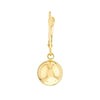 10mm Polished Ball Earrings on Leverback