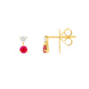 Ruby &amp; Diamond Stud Earrings (1/8tcw)