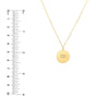 Aquarius Organic Disc Pendant Necklace
