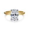 14K White-Yellow Gold Hidden Halo Oval Diamond Engagement Ring