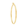 2 X 40mm DC Florentine Hoop Earrings
