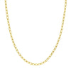 3.45mm Paper Clip Chain with Lobster Lock
