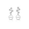Night Sky Earrings