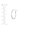 Curved Oval Hoop Earrings
