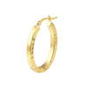 30mm Square Tube D/C Oval Hoop