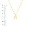 Puff Star Necklace with Lobster