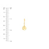 10mm Polished Ball Earrings on Leverback