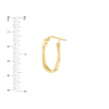 Curved Oval Hoop Earrings