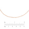1.95mm Paper Clip Choker Chain