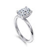 14K White Gold Hidden Halo Oval Diamond Engagement Ring