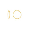 2mm x 30mm Polished Hoop Earrings