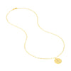 Diamond Organic Shape Medallion Necklace