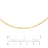 Rolo Choker Chain