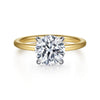 14K White-Yellow Gold Hidden Halo Round Diamond Engagement Ring