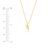 So You Dolphin Necklace